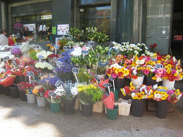 Avignon flower stall