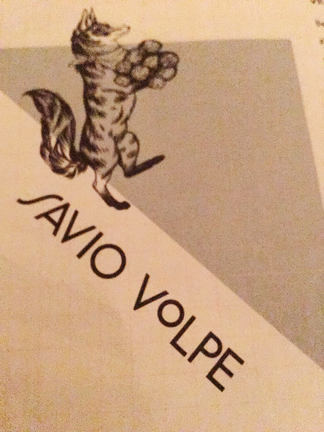 Savio Volpe menu design